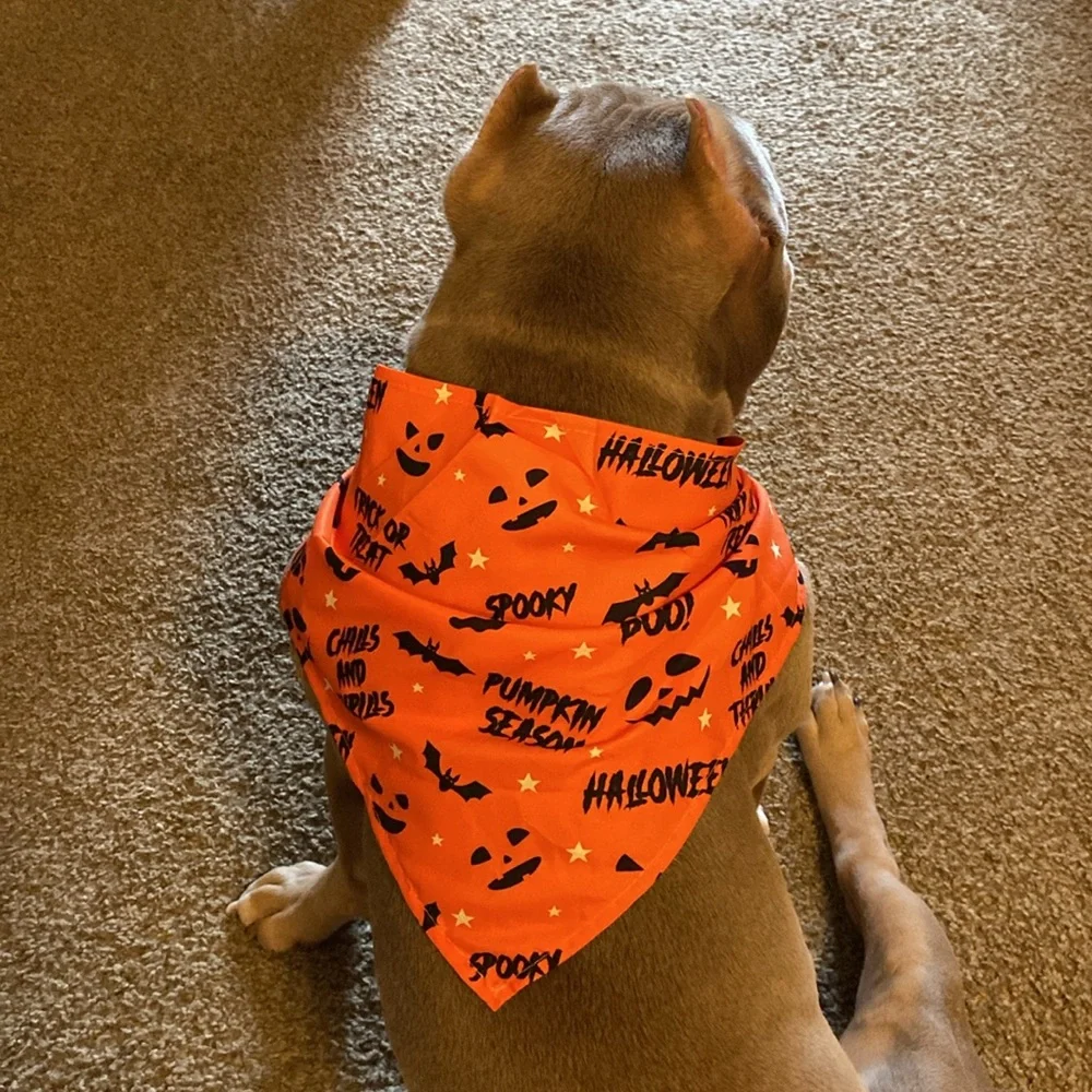 We have these beautiful handkerchiefs for Halloween celebrations